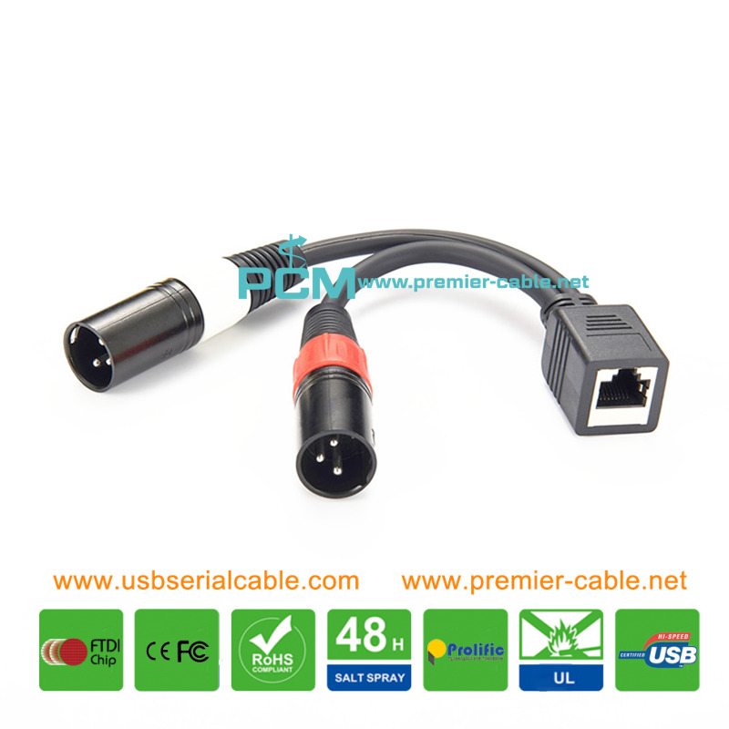 RJ45 to Dual XLR 3 Pin Male AES Cable 2