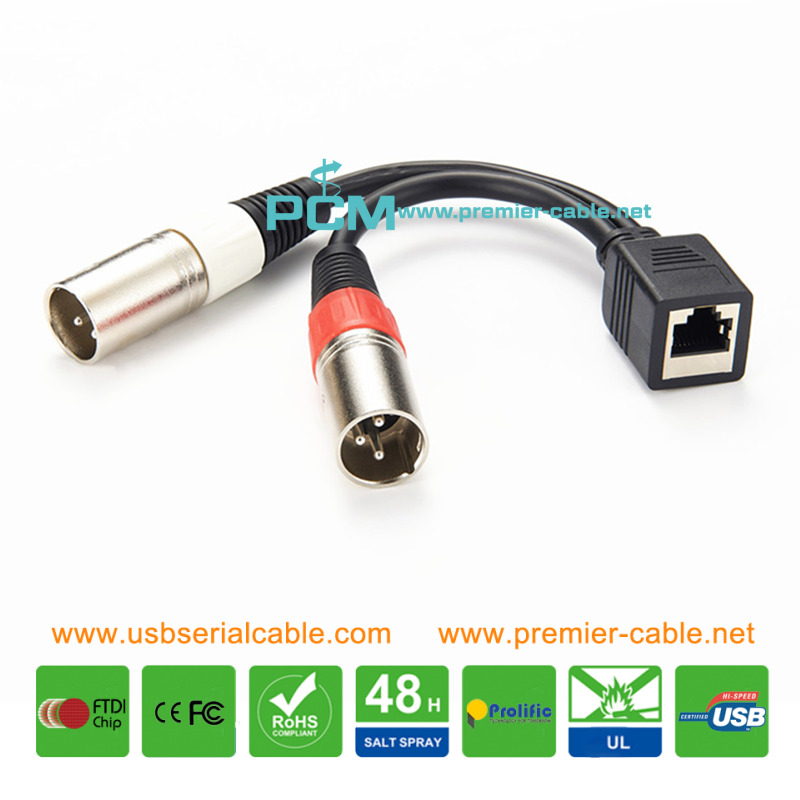 RJ45 to Dual XLR 3 Pin Male AES Cable 1