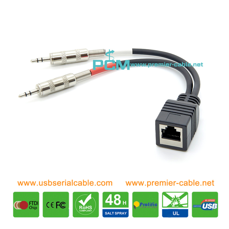 2x Mini 1/8 to RJ45 Socket Adapter