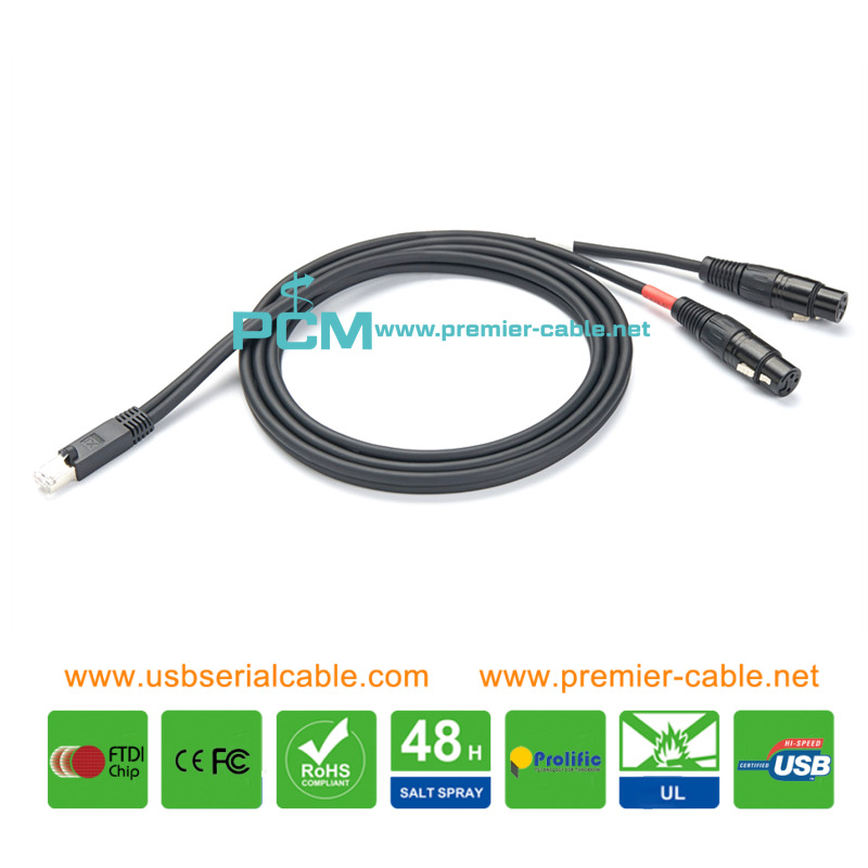 RJ45 Male to 2x 3Pin XLR Female Splitter Cable