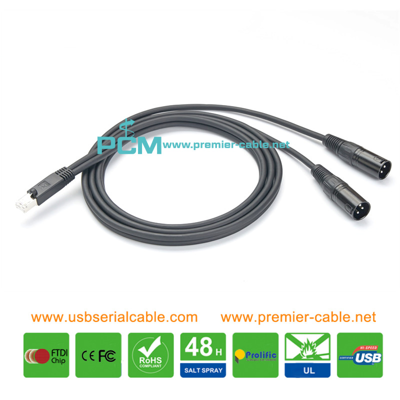 RJ45 Male to 2x 3Pin XLR Male Splitter Cable