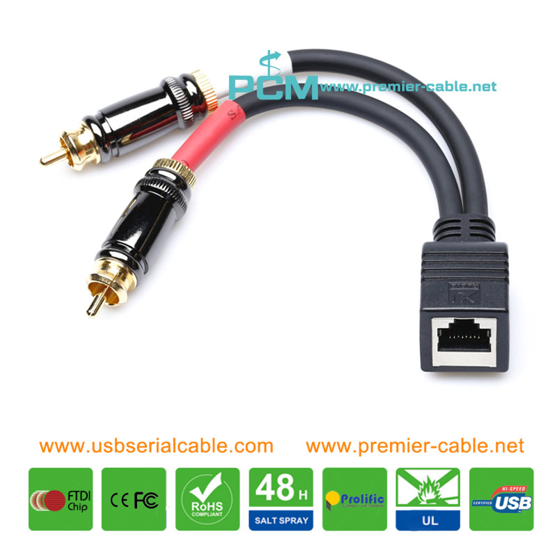 Dual RCA Plug to RJ45 Axia Adapter Cable