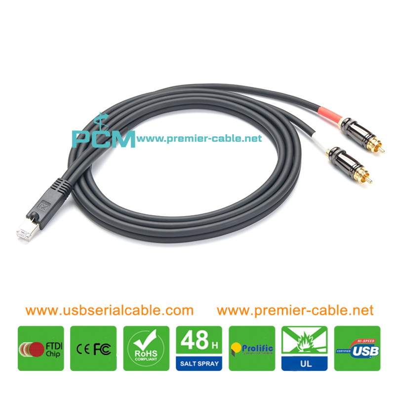 RJ45 Male to 2x RCA Splitter Cable