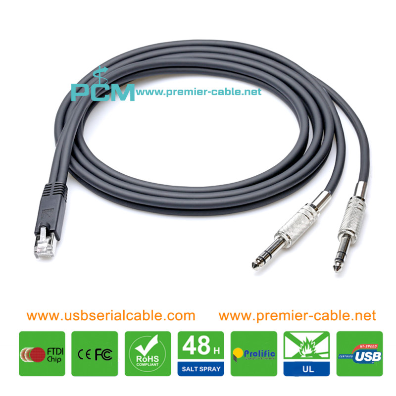 RJ45 Male to 2x TRS 1/4 6.35mm Axia Cable