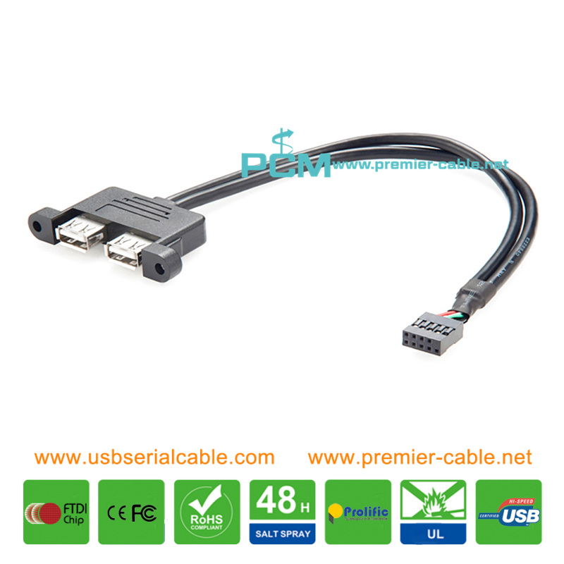 Dual USB to 9 Pin Motherboard Internal Panel Cable